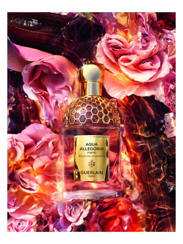 Guerlain Aqua Allegoria Forte Rosa Palissandro Eau de Parfum Spray