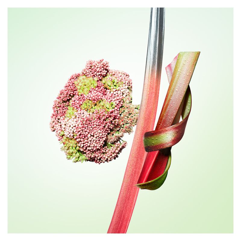 Prada Infusion De Rhubarbe Eau De Parfum 100ml Spray