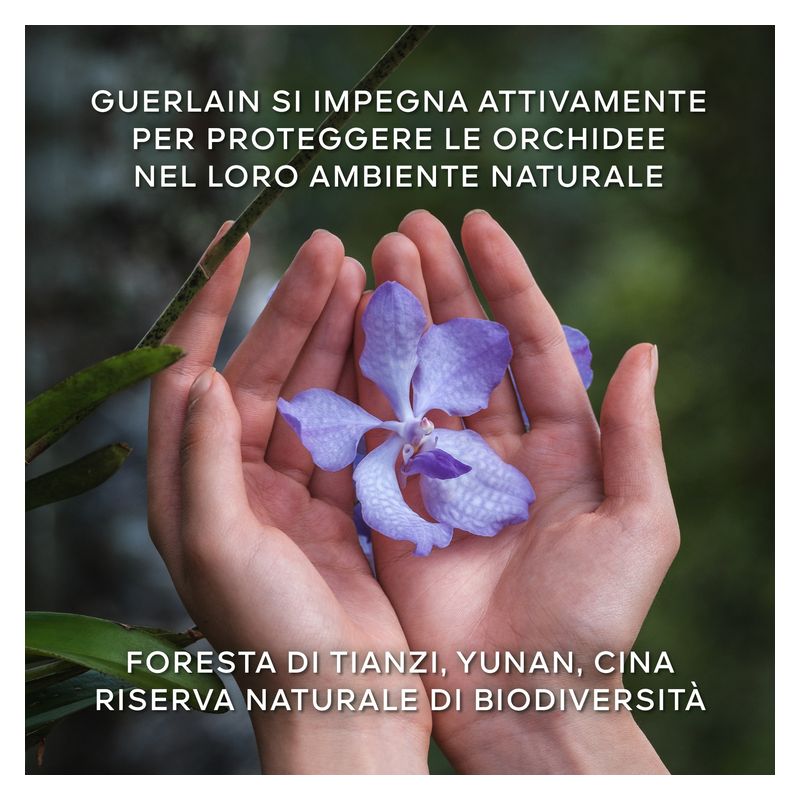 Guerlain Orchidée Impériale La Crème Légère De Longévité