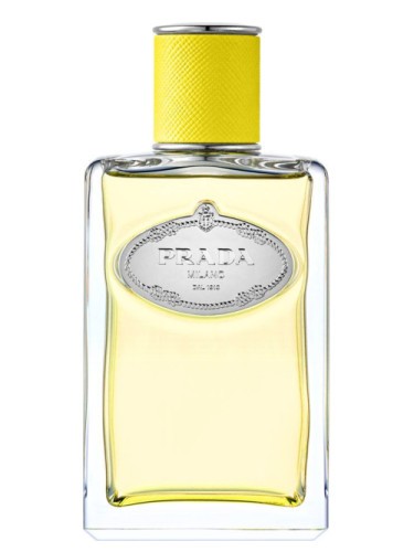 Prada Infusion d'Ylang Eau de Parfum 100 ml Profumo per donna
