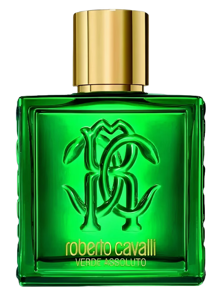Roberto Cavalli Uomo Verde Assoluto Eau De Parfum 100ml Spray