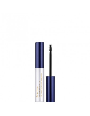 Estée Lauder Brow Now Stay-in-Place...