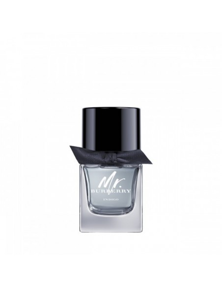 Mr. Burberry Indigo Edt