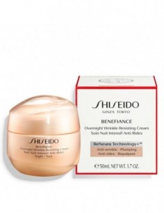 Shiseido Skn Bnf W Smoothing Night Cream